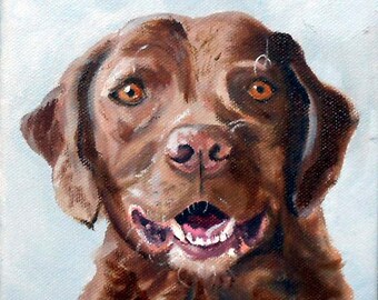 Chesapeake Bay Retriever Pet Portrait Square 12 x 12 inch Oil Painting by Robin Zebley