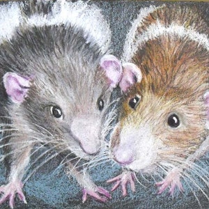 Guinea Pig and Pet Rat Art, Custom Portrait of Guinea Pig, Fancy Rats or any small pet, ferret, bird, reptile image 3