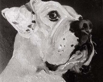 White Boxer Dog Portrait, Large 18" x 24" oils on stretched canvas, handpainted