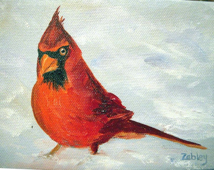 Cocky Cardinal Oil Painted to Order Oil Painting Artist Robin Zebley 5" x 7"