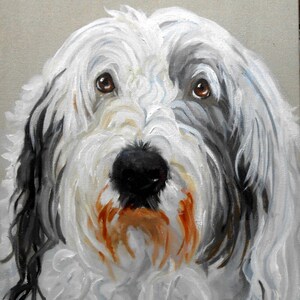 Olde English Sheepdog Art Portrait, Oils on Canvas from Photos by Zebley