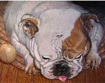 Olde English Bulldog Portrait Drawing, by artist Robin Zebley, Colored Pencil on Paper, Matted