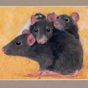 Guinea Pig and Pet Rat Art, Custom Portrait of Guinea Pig, Fancy Rats or any small pet, ferret, bird, reptile image 2