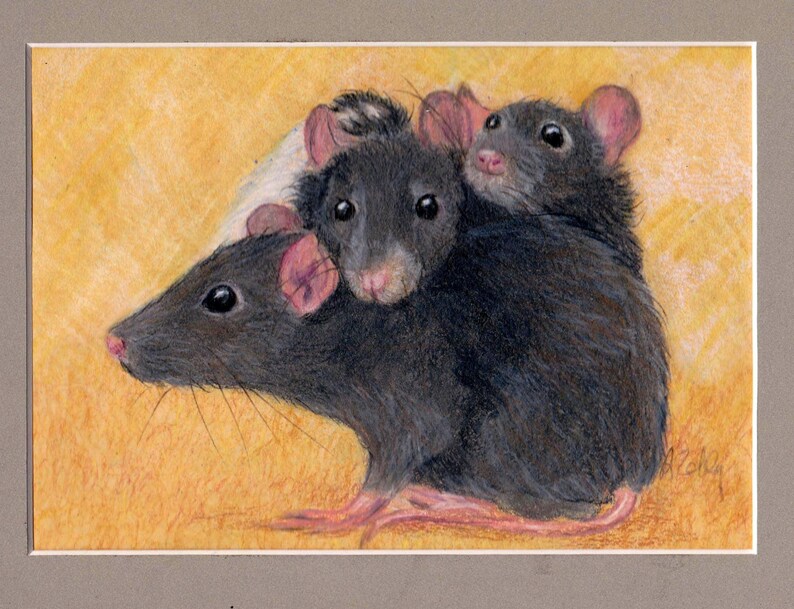 Guinea Pig and Pet Rat Art, Custom Portrait of Guinea Pig, Fancy Rats or any small pet, ferret, bird, reptile image 2