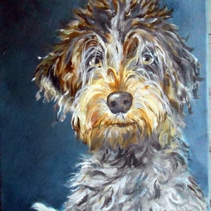 K&ouml;nnte beinhalten: &Ouml;lgem&auml;lde eines Hundes mit zotteligem Fell. Der Hund hat ein braunes, wei&szlig;es und hellbraunes Fell mit einer hellbraunen Schnauze und einer dunklen Nase. Der Hintergrund ist dunkelblaugr&uuml;n. Die Signatur des K&uuml;nstlers, "Robin Zebley", ist unten rechts sichtbar.