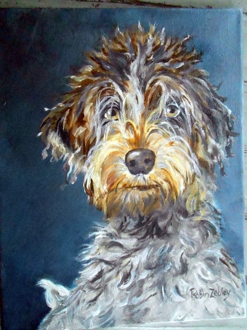 K&ouml;nnte beinhalten: &Ouml;lgem&auml;lde eines Hundes mit zotteligem Fell. Der Hund hat ein braunes, wei&szlig;es und hellbraunes Fell mit einer hellbraunen Schnauze und einer dunklen Nase. Der Hintergrund ist dunkelblaugr&uuml;n. Die Signatur des K&uuml;nstlers, "Robin Zebley", ist unten rechts sichtbar.