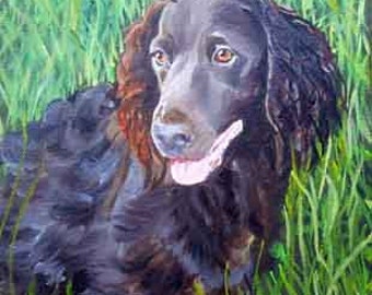 Spaniel Dog Oil Painting Portrait, Gift Idea for Him or Her, Painted by Artist Robin Zebley