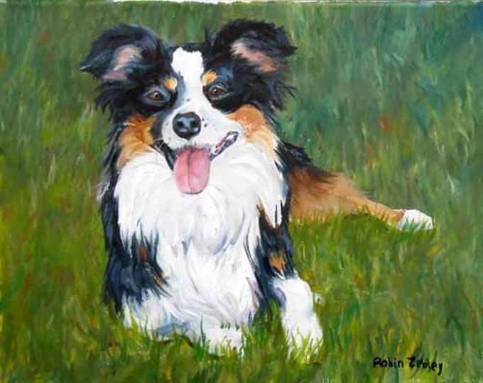 Border Collie Oil Painting Portrait, Traditional, Genuine on Canvas 11" x 14" Size by Robin Zebley