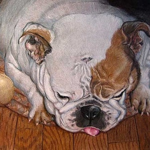 Old English Bulldog Drawing, by artist Robin Zebley, Colored Pencil or Oil Painting image 1