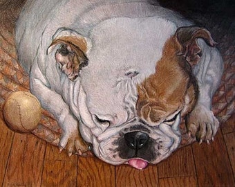 Old English Bulldog Drawing, by artist Robin Zebley, Colored Pencil or Oil Painting