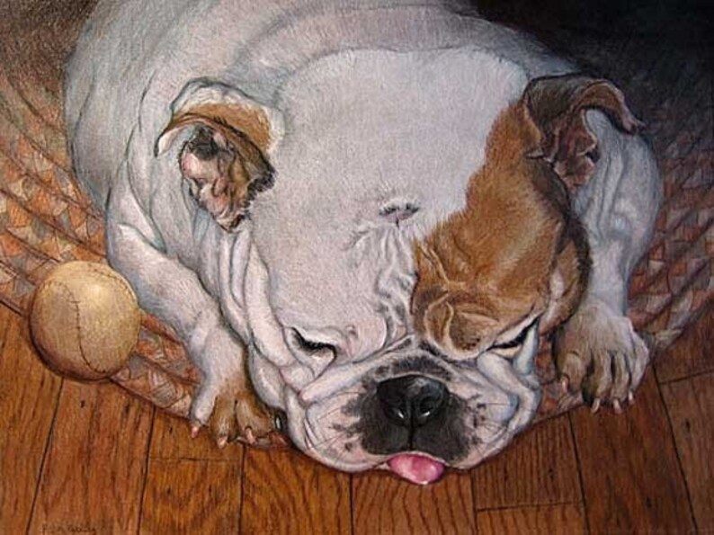 Old English Bulldog Drawing, by artist Robin Zebley, Colored Pencil or Oil Painting image 1