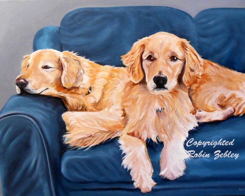 K&ouml;nnte beinhalten: Zwei Golden Retriever entspannen sich auf einem blauen Sofa. Der Hund im Vordergrund schaut direkt auf den Betrachter, w&auml;hrend der Hund im Hintergrund seinen Kopf auf der Armlehne ruht. Das Sofa ist tiefblau und hat einen strukturierten Stoff.