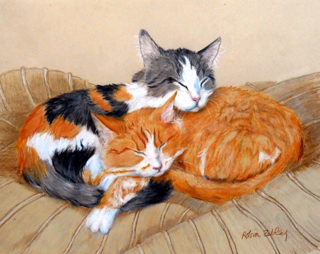 Realistic Orange Tabby Cat Drawing - 81021+ Nama Untuk ...