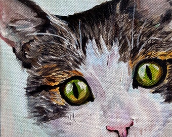 Tabby Cat Oil Painting Portrait, Custom from your Photos by Robin Zebley