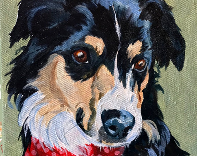 Border Collie Oil Painting Art, Pet Portrait,  Painted in the Traditional Style, hand painting, by artist Robin Zebley from Your Pictures