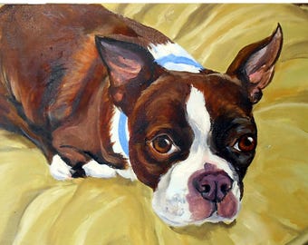 Boston Terrier Dog Custom Oil Painting Portrait, from Photos, Hand Made Painting by Artist Robin Zebley, Brown and White