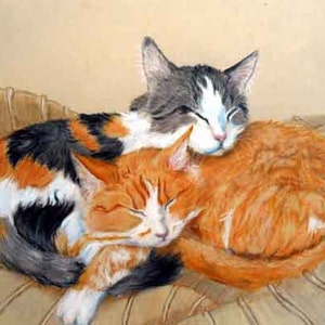 Art  Personalized Cat Portrait by USA artist Robin Zebley, Original Genuine Colored Pencil Drawing Art