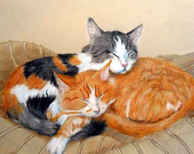 Customized Colored Pencil Cat Portraits by American artist Robin Zebley, Orange and Grey Tabbies or any Cats
