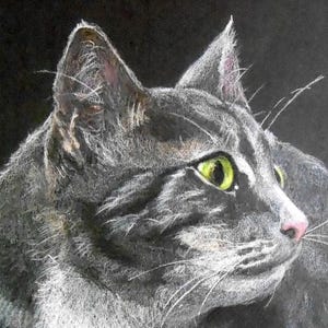 May include: A close-up of a gray tabby cat with green eyes. The cat is looking to the right of the image and has a white patch on its nose.