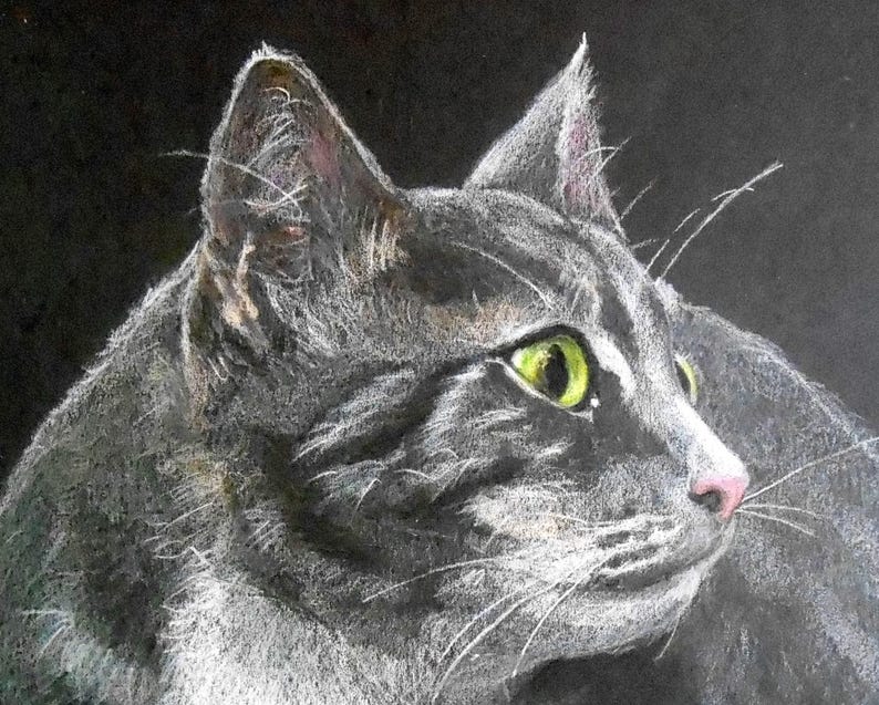 May include: A close-up of a gray tabby cat with green eyes. The cat is looking to the right of the image and has a white patch on its nose.