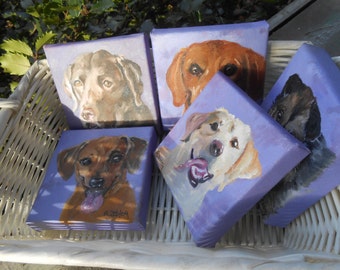 Five Custom Pet Portrait Miniature Oil Paintings, painted by Artist Robin Zebley