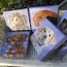 see more listings in the Custom Pet Portraits section