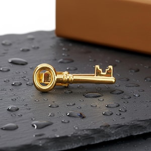 Pasador de corbata con llave vintage: barra de corbata personalizada bañada en oro de 18 quilates