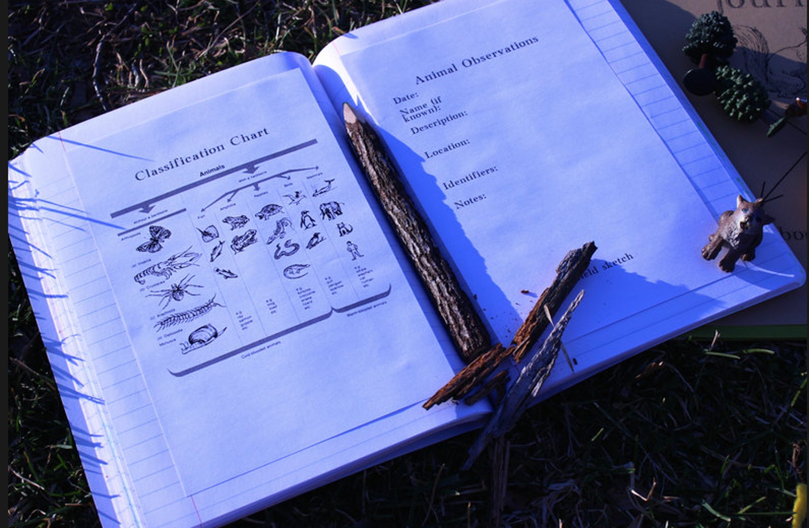 Printable Field Journal Use With Wild Kratts PBS Show or Etsy