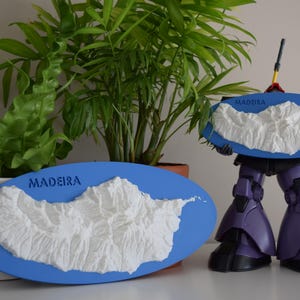 Madeira Island 3D-Topographisches Modell