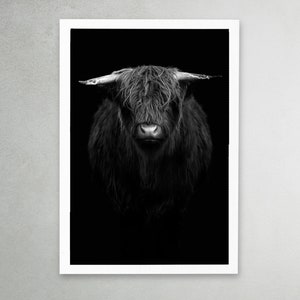 Scottish Highland Cow Poster | Scottish animal photography | Highland Cow Print,  Farmhouse Wall Decor