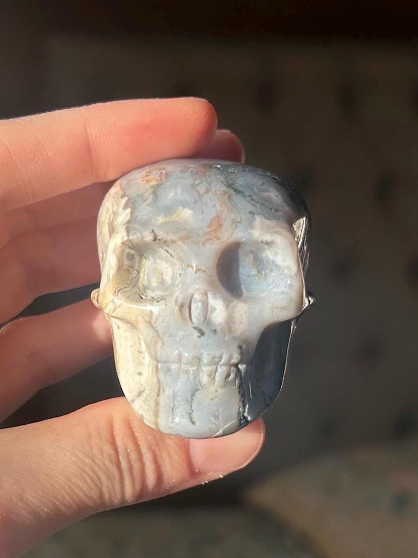 Druzy Moss Agate Skull ~ Blue Moss Agate Skull ~ Moss Agate