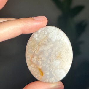 Gorgeous Flower Agate Palm Stone ~ High Quality Flower Agate Palm Stone ~ Flower Agate Palm ~ Flower Agate