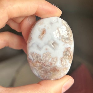 Gorgeous Flower Agate Palm Stone ~ High Quality Flower Agate Palm Stone ~ Flower Agate Palm ~ Flower Agate
