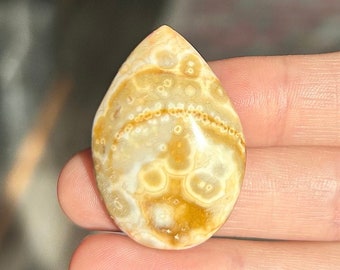High Quality Orbicular Ocean Jasper Cabochon ~ Beautiful Orbicular Ocean Jasper Cabochon ~ Ocean Jasper Cobachon ~ Ocean Jasper