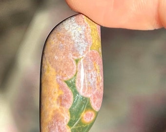 High Quality Old Stock Ocean Jasper Cabochon ~ Beautiful Orbicular Ocean Jasper Cabochon ~ Kabamby Ocean Jasper ~ Ocean Jasper