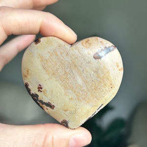 Picture Jasper Heart