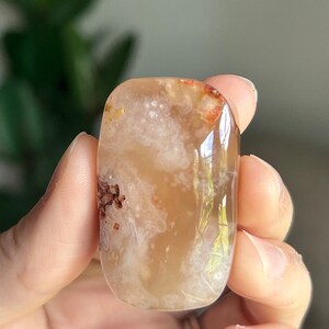Gorgeous Flower Agate Palm Stone ~ Flower Agate Palm Stone ~ Flower Agate