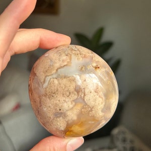 Large Flower Agate Palm Stone ~ Chunky Flower Agate Palm Stone ~ Flower Agate Palm