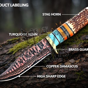 Cuchillo de caza de acero de Damasco de cobre hecho a mano: mango de palisandro, funda de cuero. imagen 4