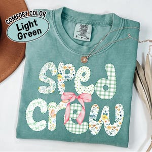 Comfort Colors® SPED Teacher, SPED Team Shirt, Special Education Teacher, Special Eduction Teacher Shirt, New Teacher Gift, Back To School