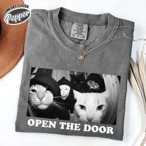 May include: A gray Comfort Colors t-shirt featuring a black and white image of four cats wearing hoods, with the text "OPEN THE DOOR" in white. The shirt has a crew neck and short sleeves. A silver necklace with a pendant is on the shirt.