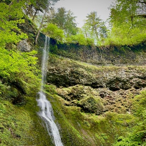 Winter Falls cascading down amongst the bright green scenery , Silver Falls State Park in Oregon state. Color photo on canvas.