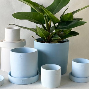 May include: Four light blue ceramic planters with a plant in the largest planter. The planters have a subtle embossed logo on the bottom.