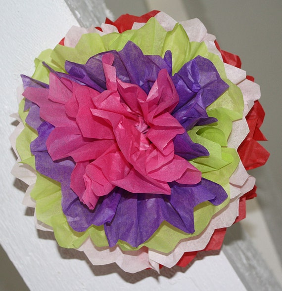 Mexican Paper Flowers Photo Wall Tissue Pom Poms Multicolor Set of 10 