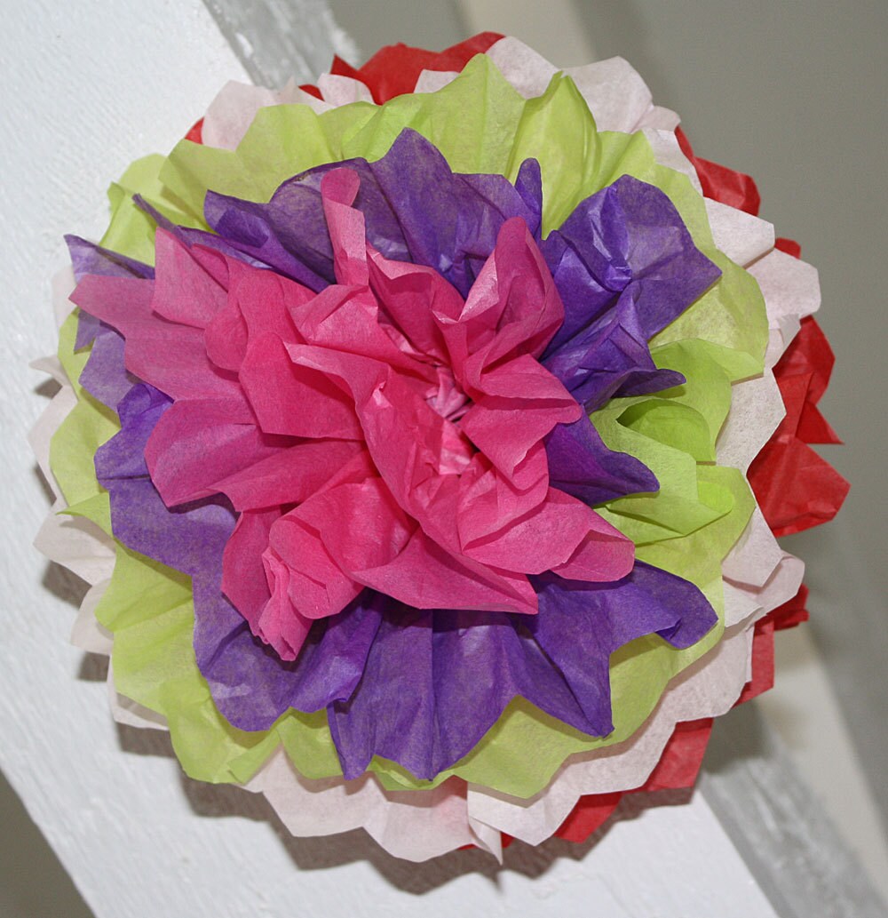 Mexican Paper Flowers Photo Wall Tissue Pom Poms Multicolor Etsy