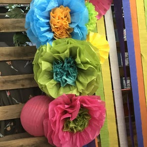Tissue Paper Backdrop Mexican Paper Flowers Garland Tissue Pom Poms - Set of 10
