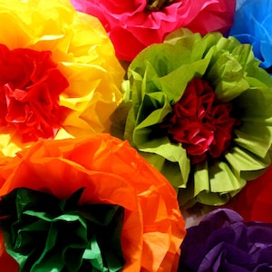 Mexican Tissue Paper Flowers Photo Wall Wedding Fiesta Decorations - Set of 10
