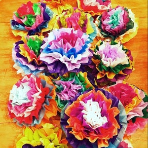 Mexican Paper Flowers Photo Wall Tissue Pom Poms Multicolor - Set of 10