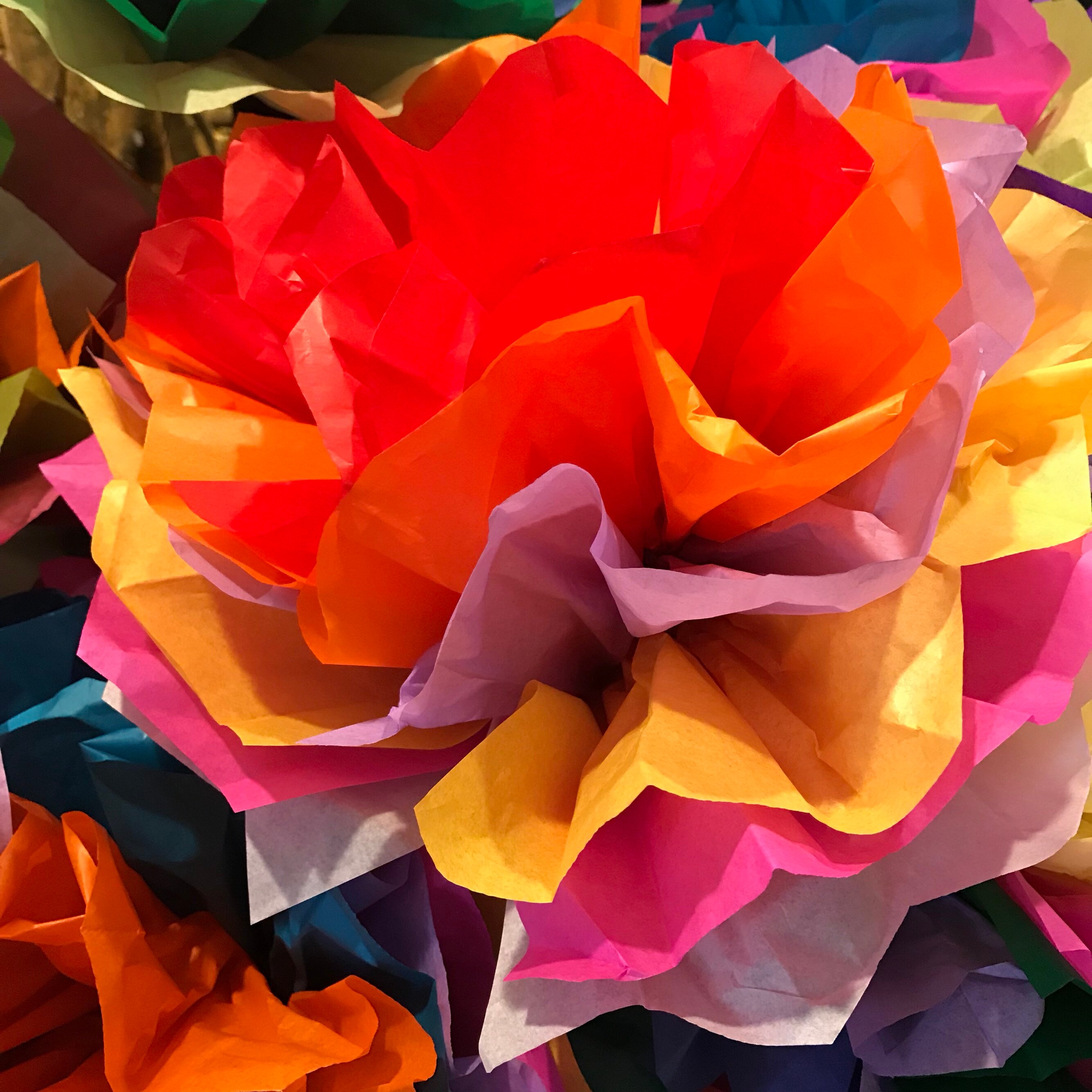 Set of 5 Large Fiesta Flowers Colorful Tissue Paper Flowers Pom Poms  Mexican paper flowers #ti…