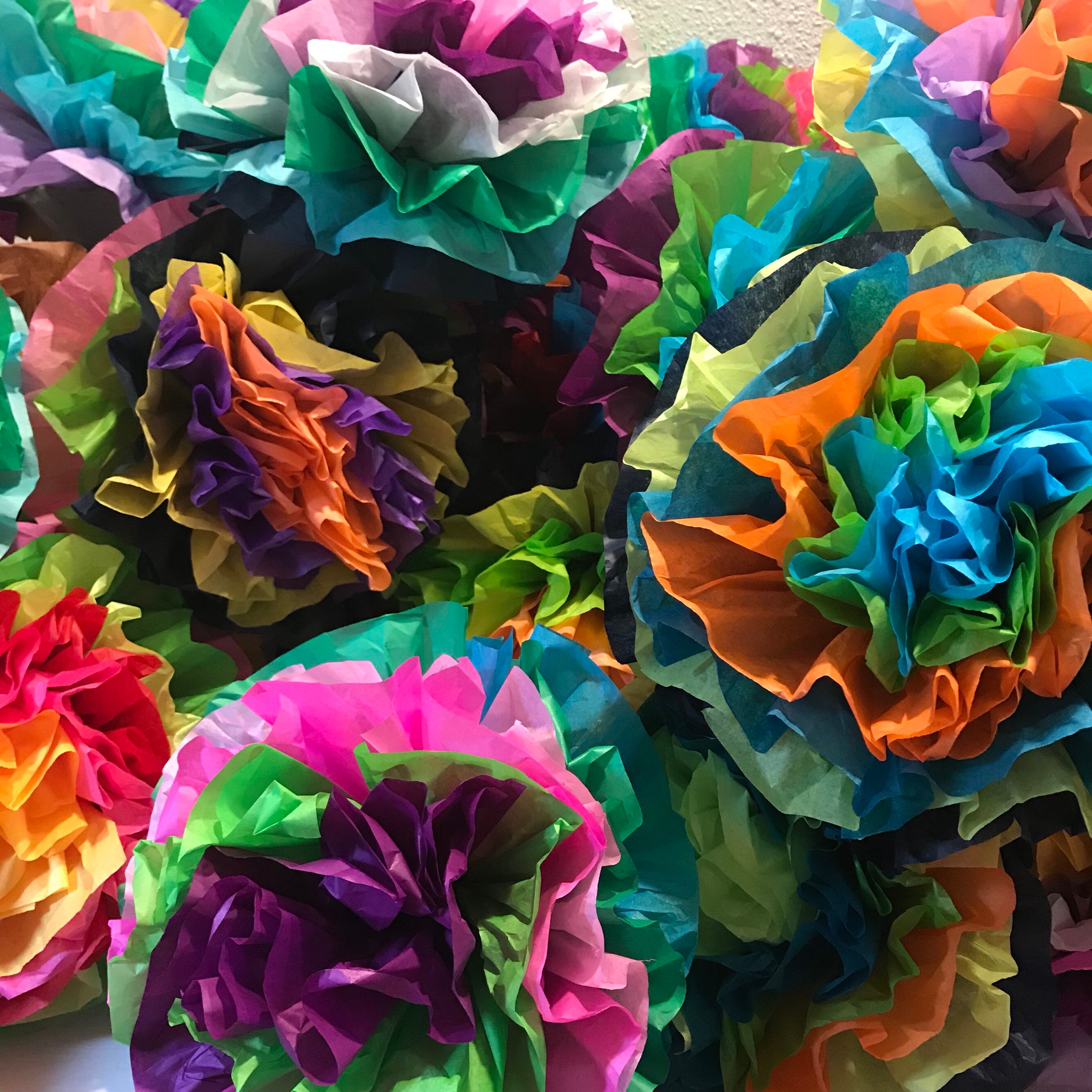 Mexican Paper Flower Wall Colored Tissue Paper Pom Poms Set of 25